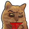 猫咪 可爱 挑眉 吐血
