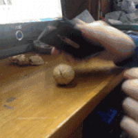 电脑 核桃 手机 搞笑