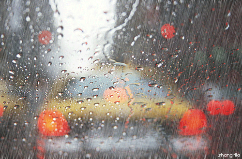 下雨 春雨绵绵 美图 玻璃 街道 中雨 唯美 花花世界 下雨了