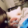 萌宠 猪 好困 不想出去 憨憨 可爱