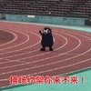 熊本熊 操场 滚犊子 操场约架你来不来