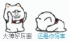 牛逼 大神好厉害 还是你厉害 对拜 互相吹捧