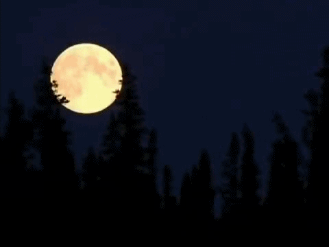 月亮 椭圆 鸡蛋 漆黑