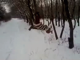 狗 搞笑 雪地 转圈