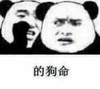 熊猫人 悄悄话 惊讶 的狗命