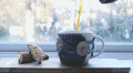 茶 冬季  艺术 图片