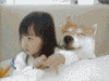 猥琐 萝莉 亲亲 狗狗