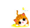 猫咪 尾巴 可爱 萌萌哒