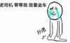 暴漫 伤心 哭笑 老司机等等我我要坐车扑通