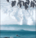 企鹅 跳 远距离 上岸 牛逼 新技能get