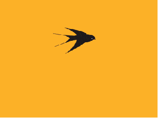 燕子 飞翔 线条 黄色
