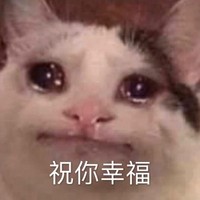 萌宠 喵星人 眼泪汪汪 祝你幸福 呆萌 可爱