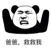 爸爸，救救我 金馆长 张大嘴 熊猫