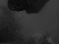 游泳 酿造的 黑色和白色 动物 章鱼 生物 老电影 跳水 海洋生物