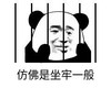 暴漫 文字表情包 仿佛是坐牢一般 搞笑 逗 沙雕