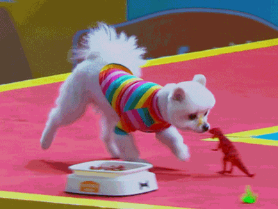 战斗吧萌犬 狗狗 素材 soogif soogif出品