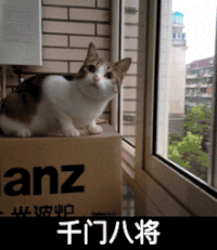 猫咪 窗户 玻璃 纸壳箱 千门八将