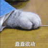 猫星人 蠢蠢欲动 可爱 搞怪 逗