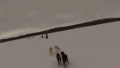 小狗 可爱 雪地 黑色