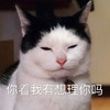 萌宠 猫星人 你看我有想理你吗 生气 呆萌 可爱