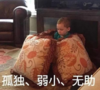 萌娃 假笑男孩 孤独弱小无助 搞怪 呆萌 可爱