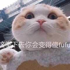 猫咪 可爱 萌宠 傻乎乎 撒fufu 凶 奶凶