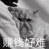 萌宠 猫星人 赚钱好难 无奈 呆萌 可爱