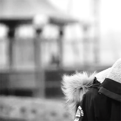 小鲜肉 卖萌 可爱 帅气