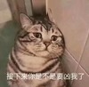 萌宠 汪星人 接下来你是不是要凶我了 可怜巴巴 搞怪 呆萌