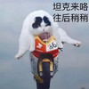 萌宠 猫星人 坦克来了 往回稍稍 搞怪 呆萌