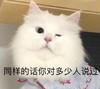 萌宠 猫星人 同样的话 你对多少人说过 呆萌 可爱