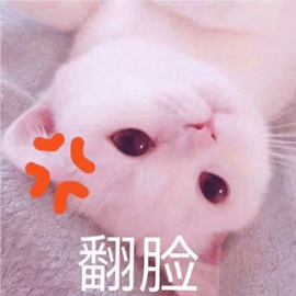 貓 翻臉 生氣 可愛 呆萌