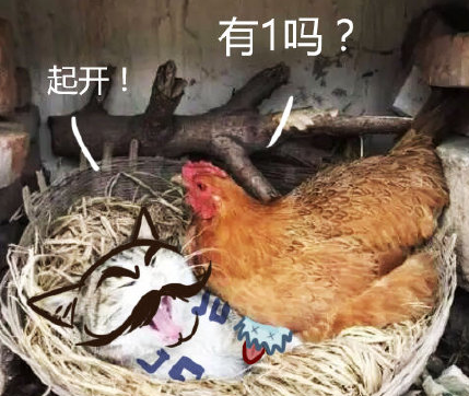 英雄联盟 搞怪 文字表情包 沙雕 魔性