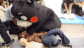 熊本城 可爱 黑色 搞笑