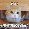 什么 清空 购物车 猫