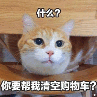 什么 清空 购物车 猫 搞怪 逗