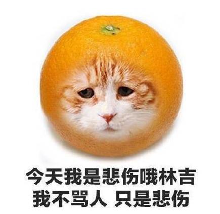 水果 蔬菜 喵星人 可爱 搞笑