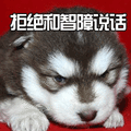 狗 汪星人 萌宠 拒绝和智障说话 soogif soogif出品