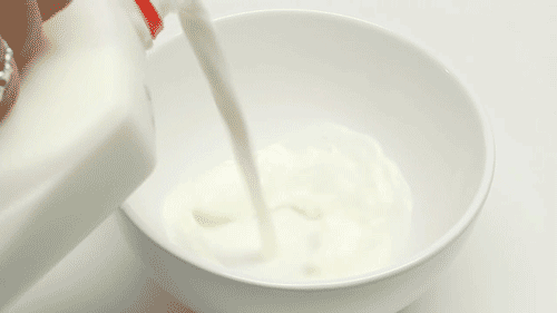 牛奶 有营养 高蛋白 养生