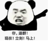 暴漫 文字表情包 你 退群 现在立刻马上 搞怪 魔性 沙雕