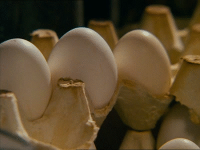 鸡蛋 破壳 骷颅 可怕