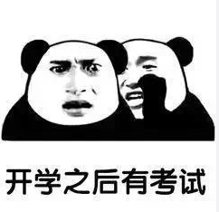 熊猫头 搞怪 逗 祈求寒假 开学
