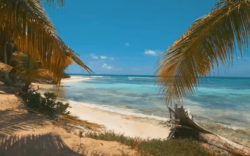 Around&the&world Punta&Cana&in&4K 多米尼加共和国 晴天 椰树 沙滩 海洋 纪录片 蓝天 蓬塔卡纳 风景