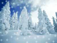 冬天 下雪 寒冷 大自然