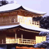 京都大学 soogif soogif出品