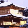 京都大学 soogif soogif出品