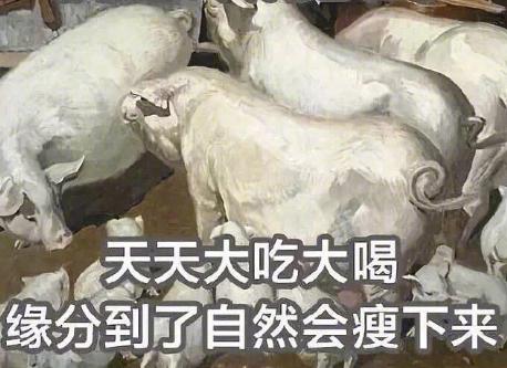 大杂烩 搞笑 文字表情包 逗 沙雕