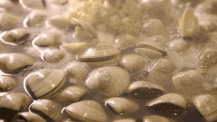 蛤蜊 海鲜 制作过程 美味 营养