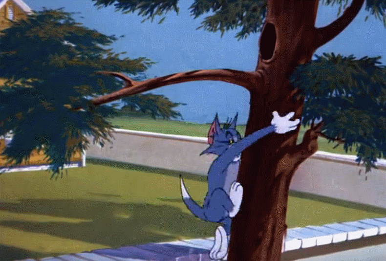 猫捉老鼠 爬树 搞笑 撞头