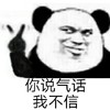 暴漫 熊猫头 你说气话 我不信 搞怪 逗